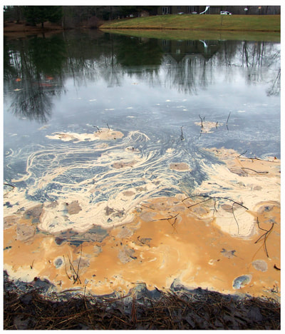 Vienna, Ohio also experienced a 2015 waste release associated with a now-closed fracking waste injection well that destroyed two wetlands and a pond